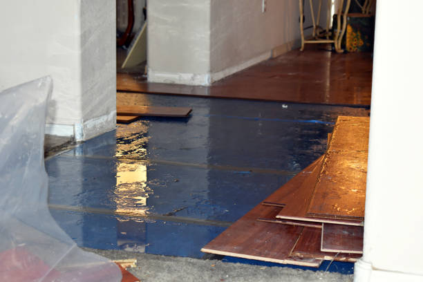 Professional Flood Cleanup technician working in Mohler, WA